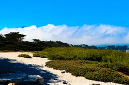 IMG_8142-2