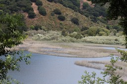 IMG_9078