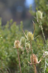 IMG_9091