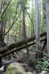 IMG_9160.jpg