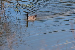 IMG_9166.jpg