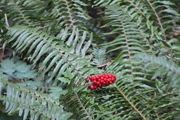 IMG_9170.jpg