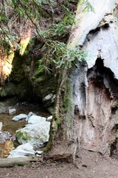 IMG_9199.jpg