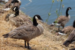 IMG_9225.jpg