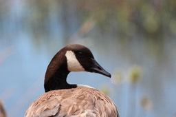 IMG_9257.jpg