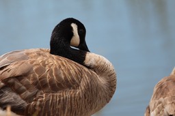 IMG_9262.jpg