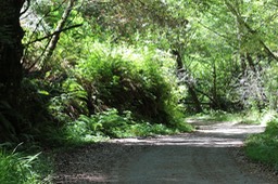IMG_9330.jpg
