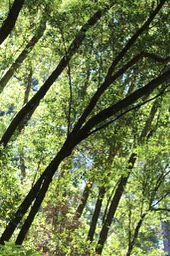 IMG_9332.jpg