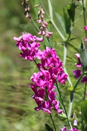 IMG_9341.jpg