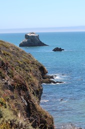 IMG_9351.jpg
