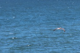 IMG_9370.jpg