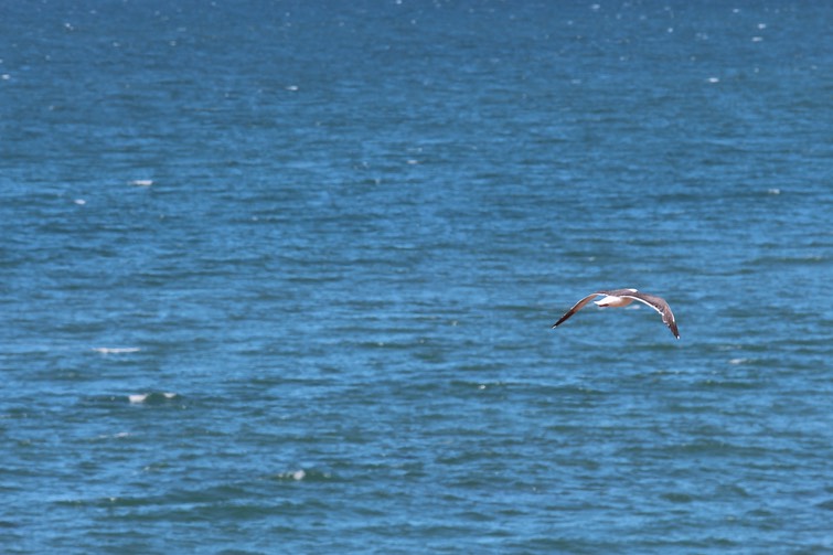 IMG_9370.jpg