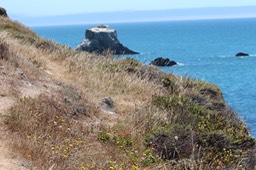 IMG_9392.jpg
