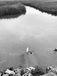 IMG_9541