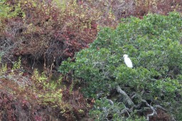 IMG_9752.jpg