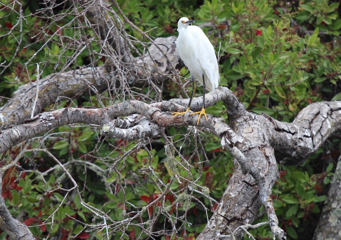 IMG_9762.jpg