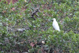 IMG_9770.jpg