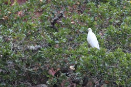 IMG_9771.jpg