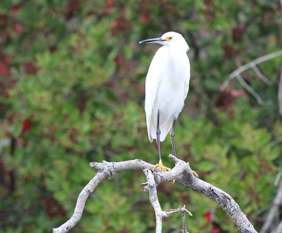 IMG_9781.jpg