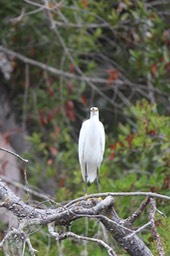 IMG_9787.jpg