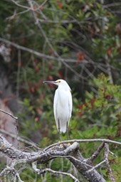 IMG_9788.jpg