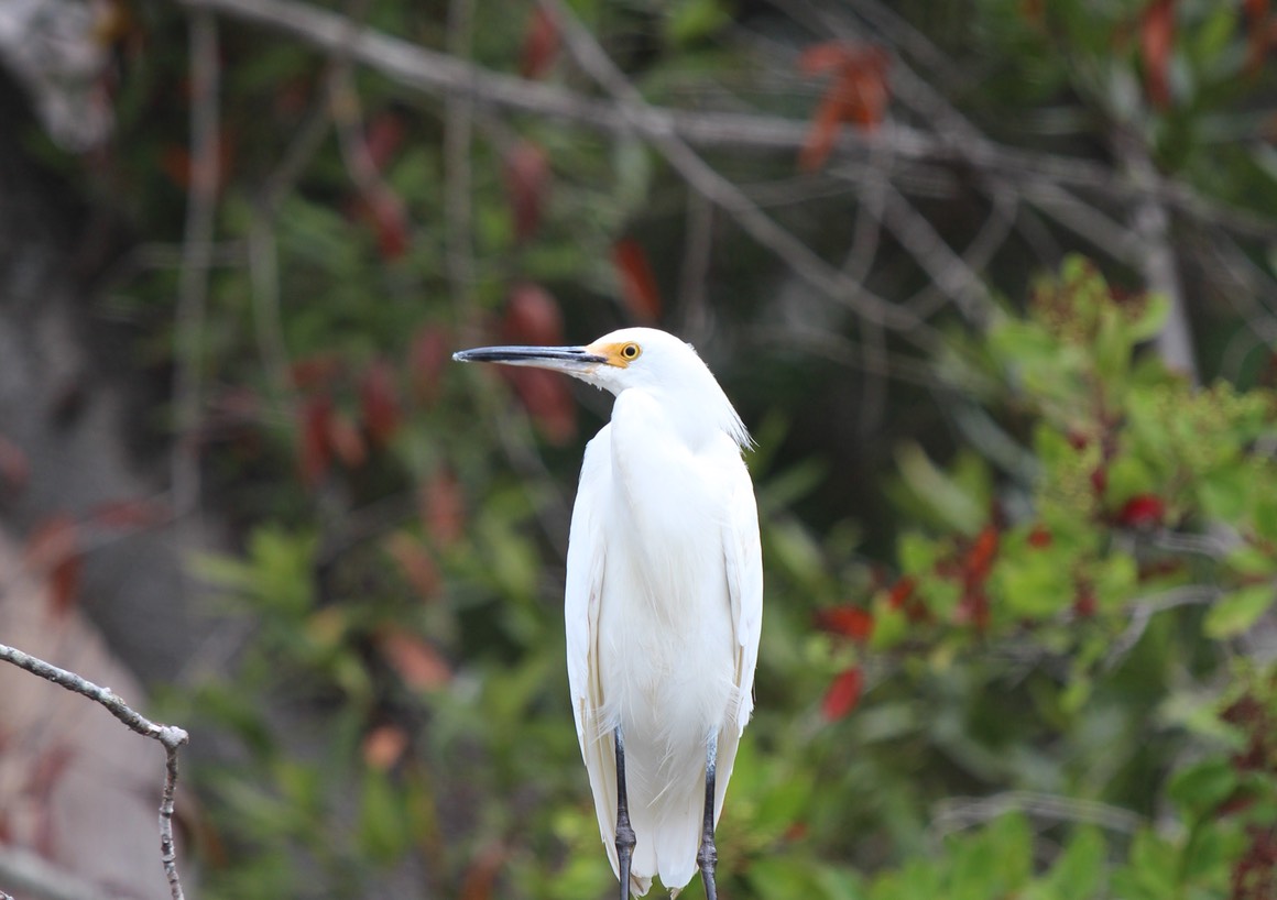 IMG_9788.jpg