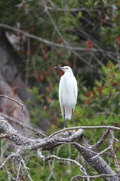 IMG_9789.jpg