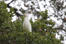 IMG_9797.jpg