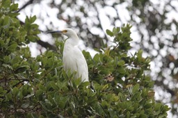 IMG_9798.jpg
