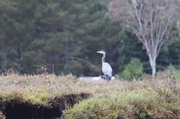 IMG_9804.jpg