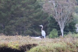 IMG_9805.jpg