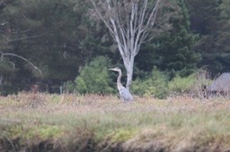 IMG_9820.jpg