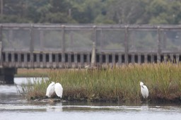 IMG_9840.jpg