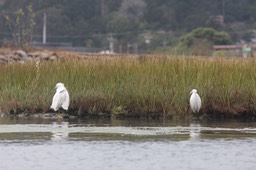 IMG_9843.jpg
