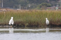 IMG_9844.jpg