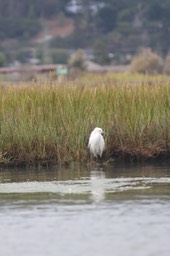 IMG_9846.jpg