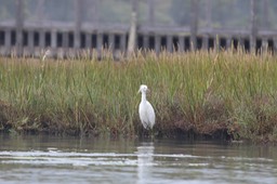 IMG_9861.jpg