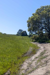 IMG_9994
